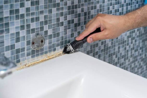 Best Mold Remediation for Specific Building Types in Linntown, PA